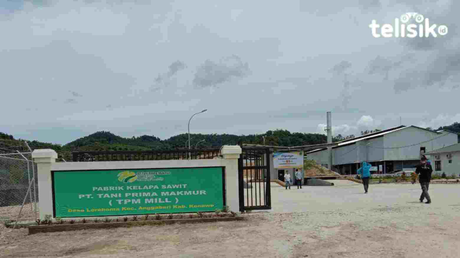 Larangan Mudik Tak Pengaruhi Tenaga Kerja Perusahaan Sawit Konawe