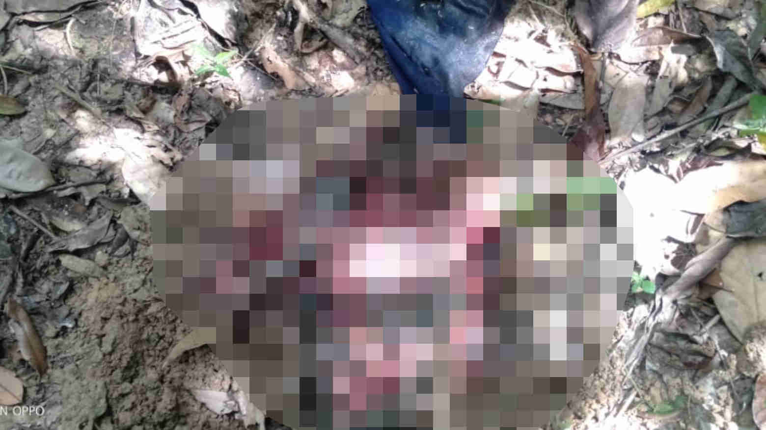 Mayat Bayi di Kawasan Hutan UHO  Tak Utuh, Diduga Dirusak Binatang Liar