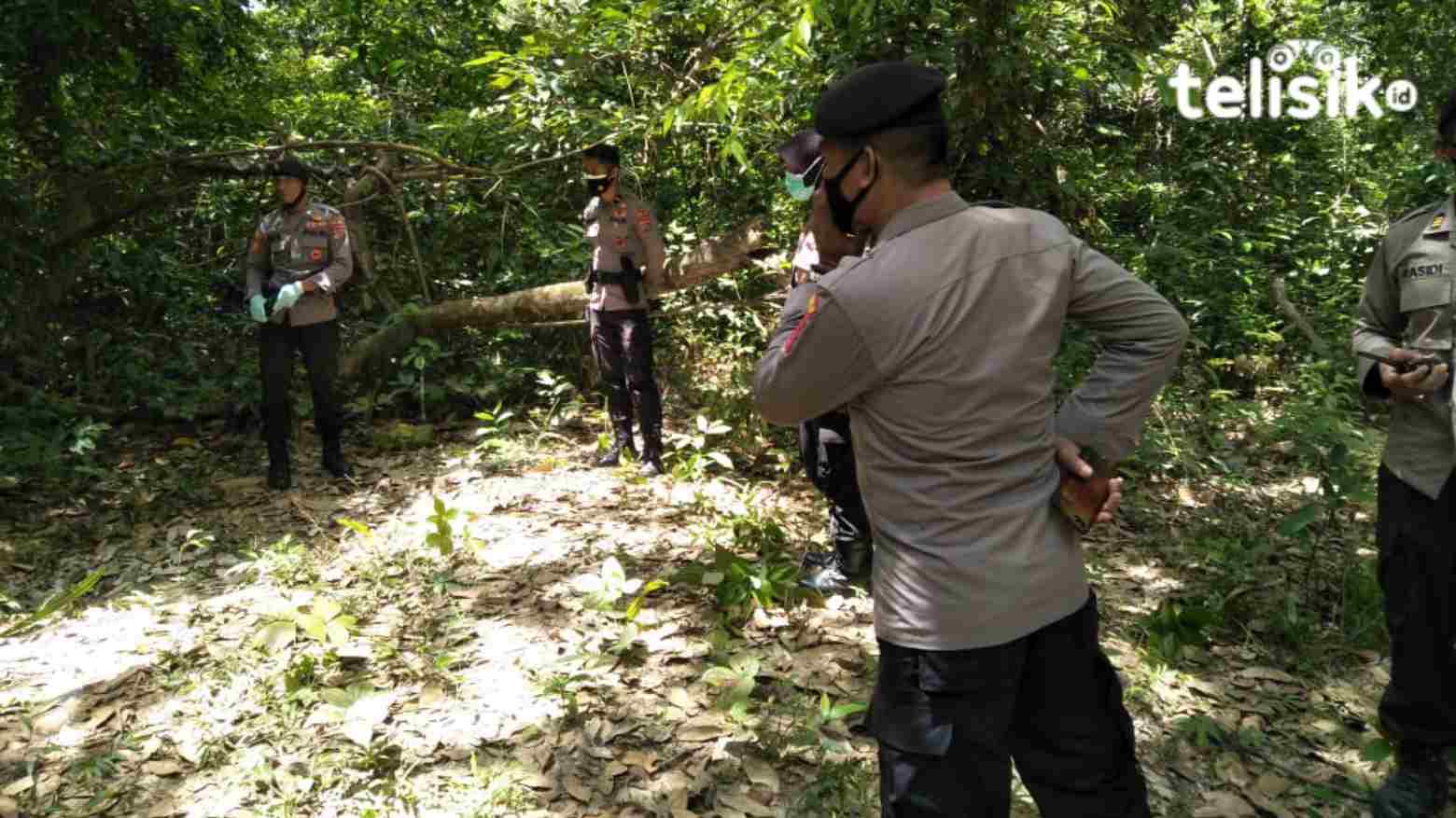 Mayat Bayi Membusuk Terbungkus Jilbab Hitam Ditemukan di Kawasan Hutan Kampus UHO