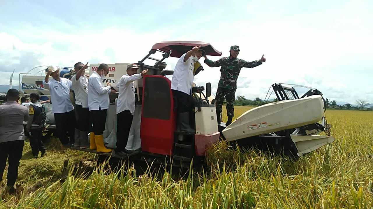 Melalui Terobosan IP 300, Konawe Digenjot Menjadi Lumbung Beras Sultra