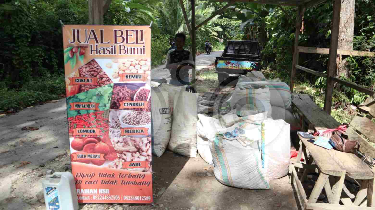 Mengintip Aktivitas Pedagang Kakao Berburu Hasil Bumi Petani di Kolaka Utara