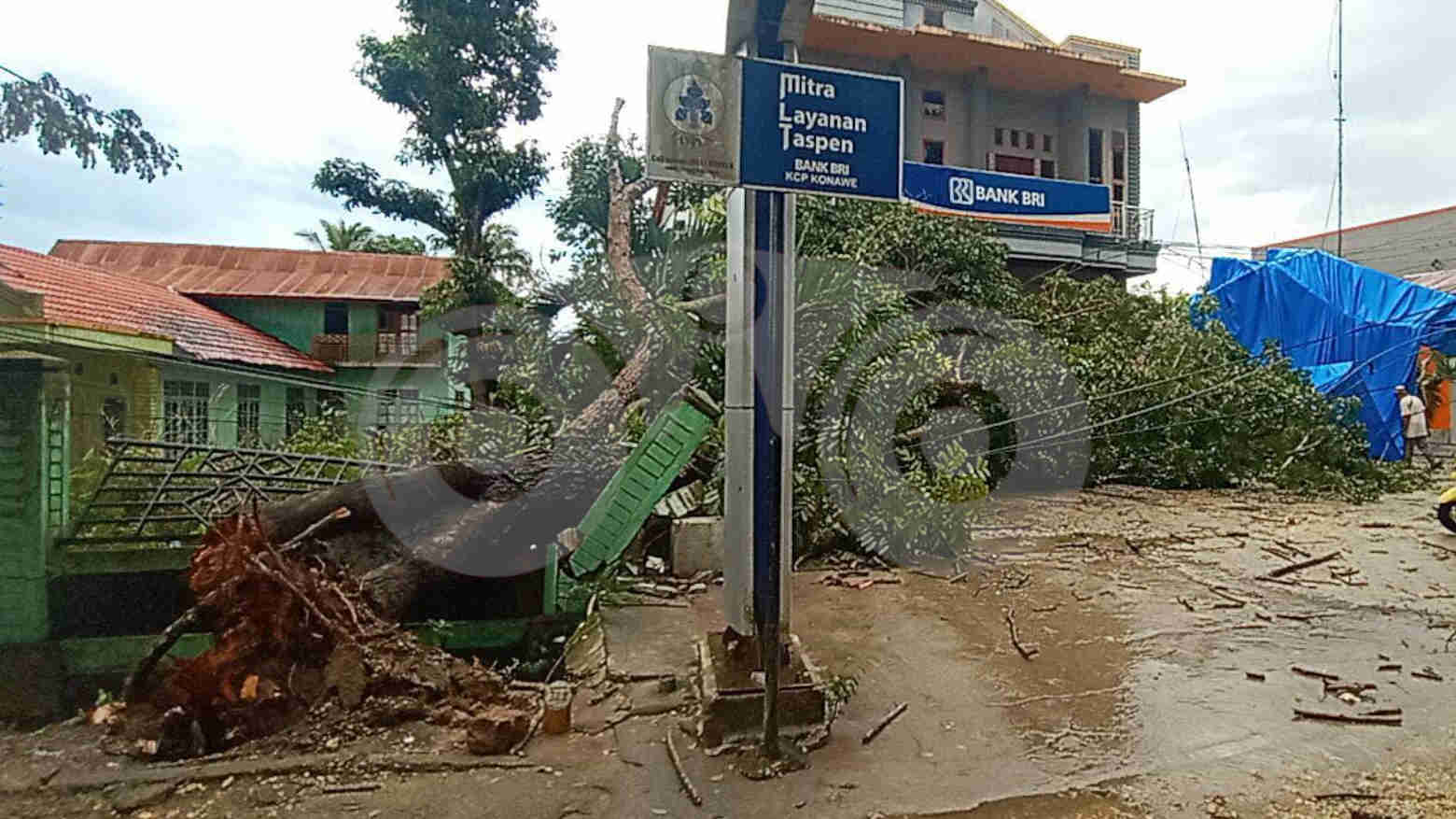 Pasca Pohon Tumbang, Listrik di Unaaha Padam