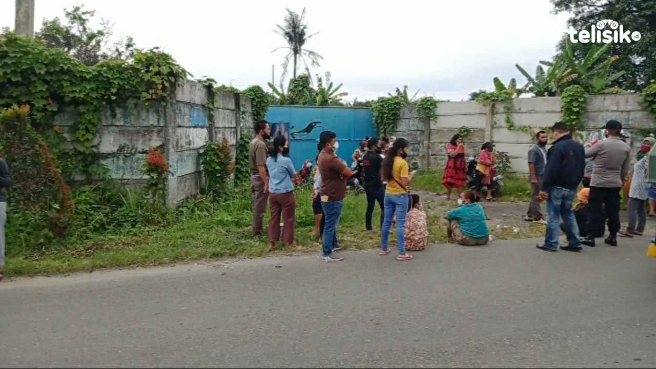Penangkaran Buaya di Medan Didemo Warga, Ada Apa?