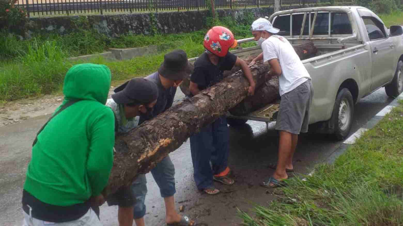 Sampah Potongan Batang Pohon Kerap Dibuang ke Median Jalan