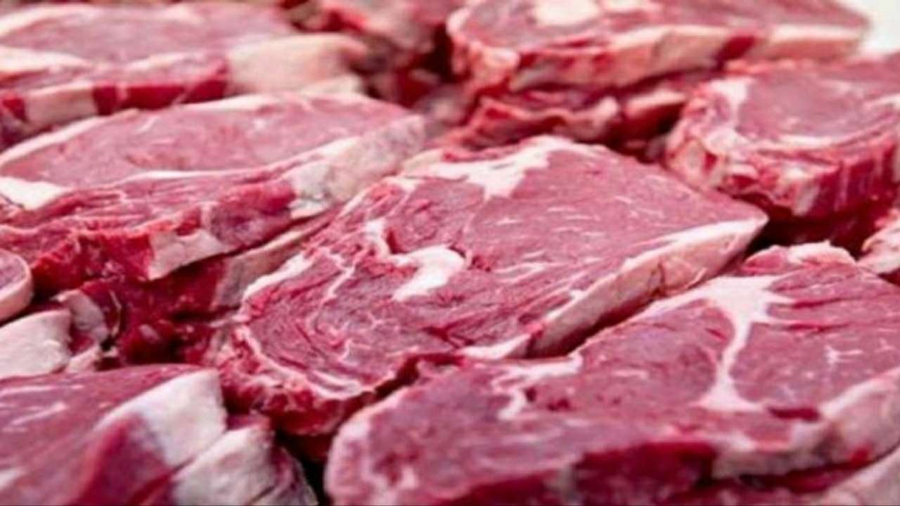 Sultra Kebagian 6500 Kg Daging Impor