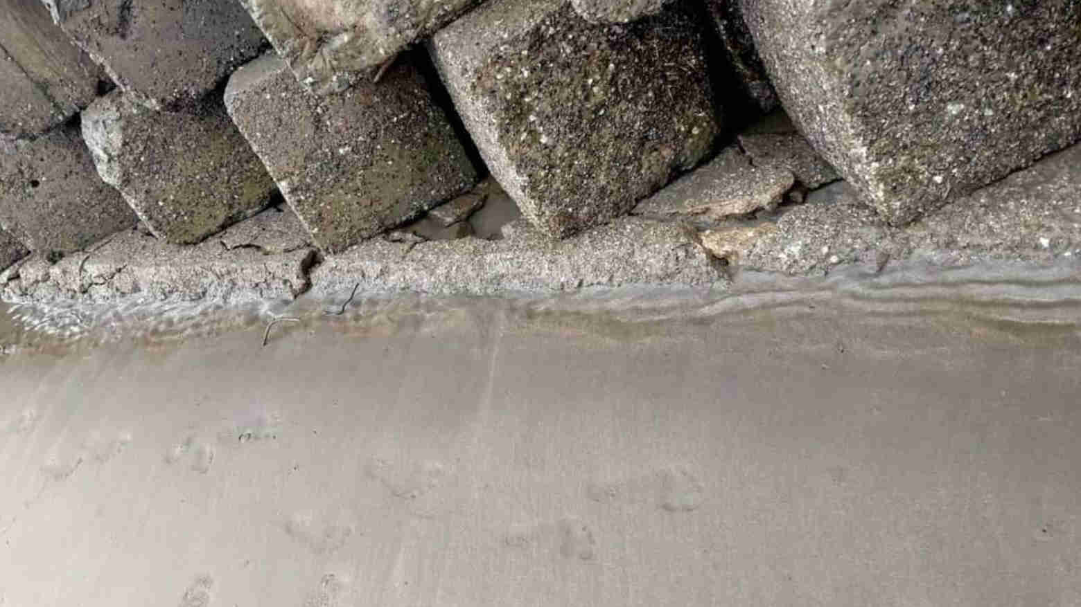 Warga Busel Curhat di Medsos Soal Proyek Pembangunan Pemecah Gelombang