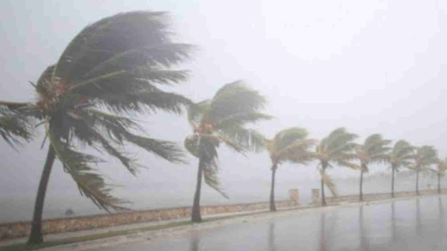 4 Pulau di NTT Berpotensi Dilanda Angin Kencang Selama Dua Hari
