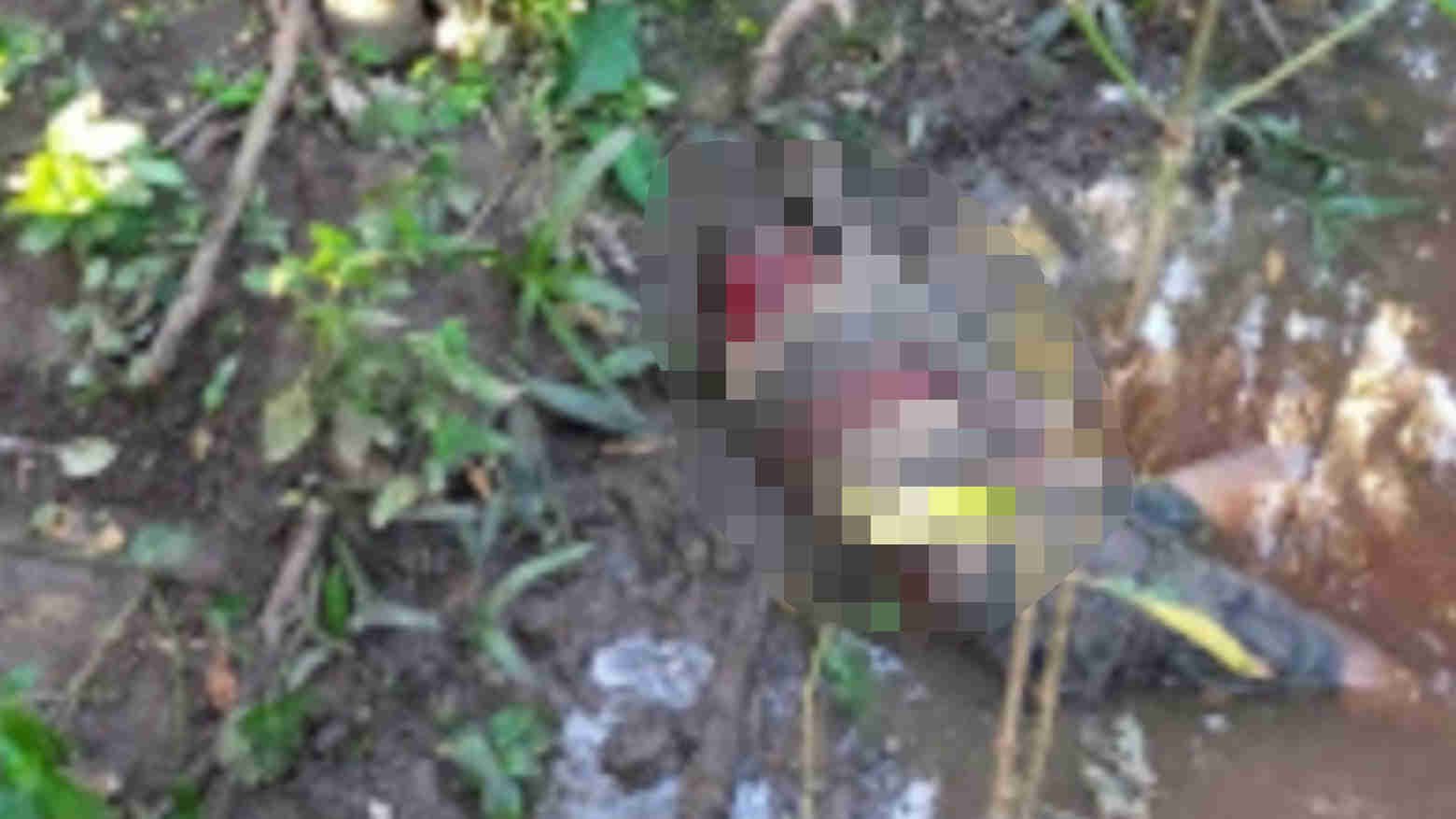 Cekcok Soal Kelapa, Warga di Kupang Tewas Diparangi