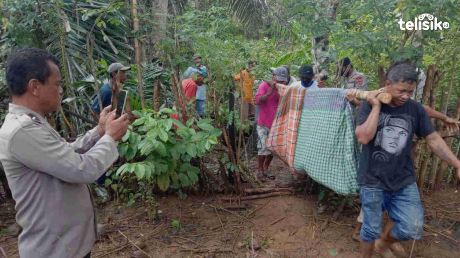 Jatuh dari Pohon Enau, Warga Muna Meninggal