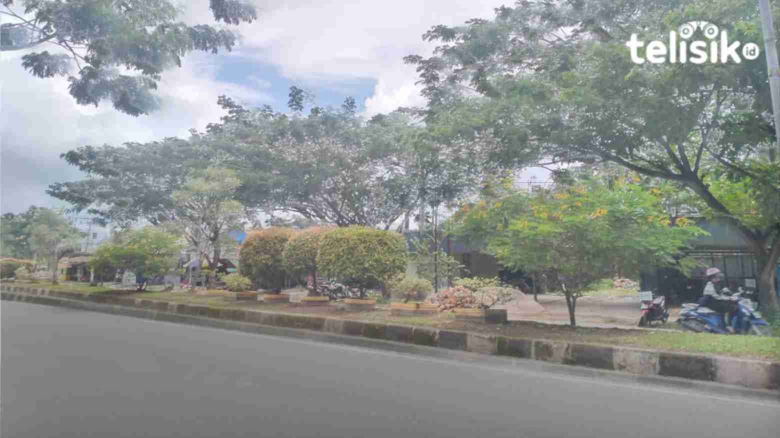 Jelang Kendari Triatlon, DLHK Percantik Taman Rute yang Dilalui Atlet