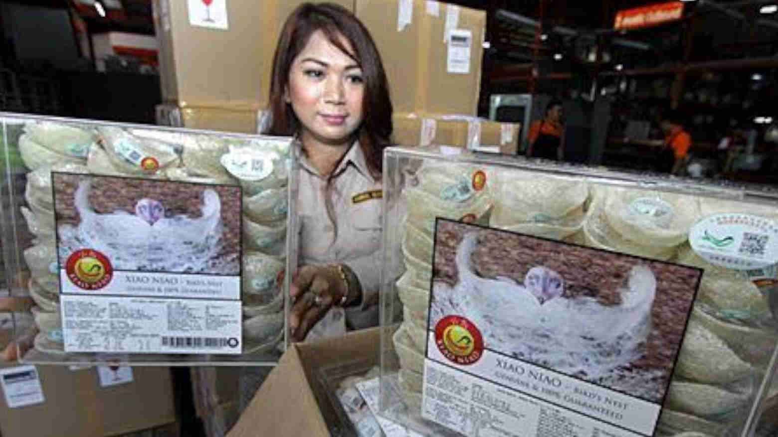 Kemendag Gandeng Kementan Dorong Peningkatan Ekspor Sarang Burung Walet