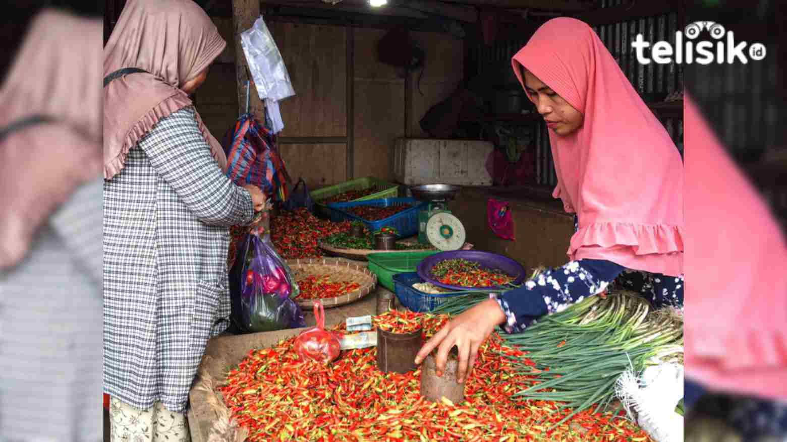 Pasokan Meningkat Jelang Ramadan, Harga Cabai Rawit di Kendari Merosot