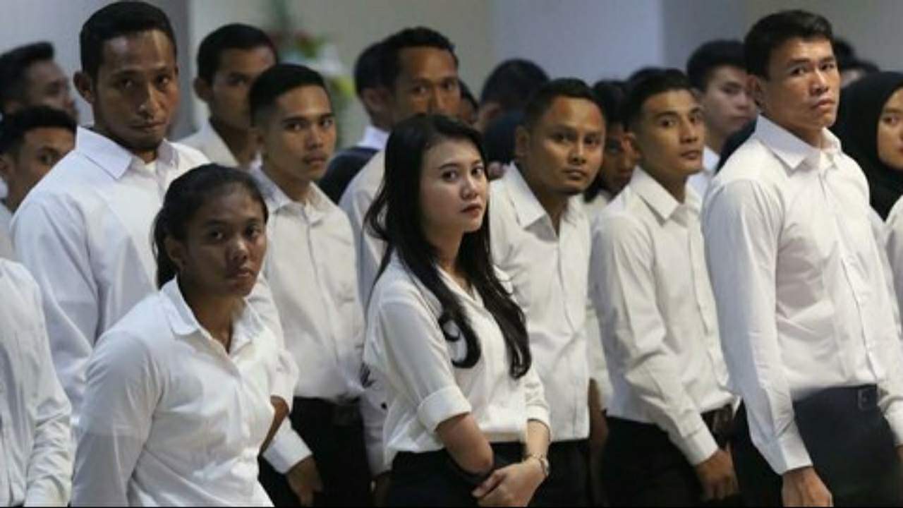 Pemburu NIP Bersabar Dulu, Rekrutmen CPNS dan PPPK Belum Jelas