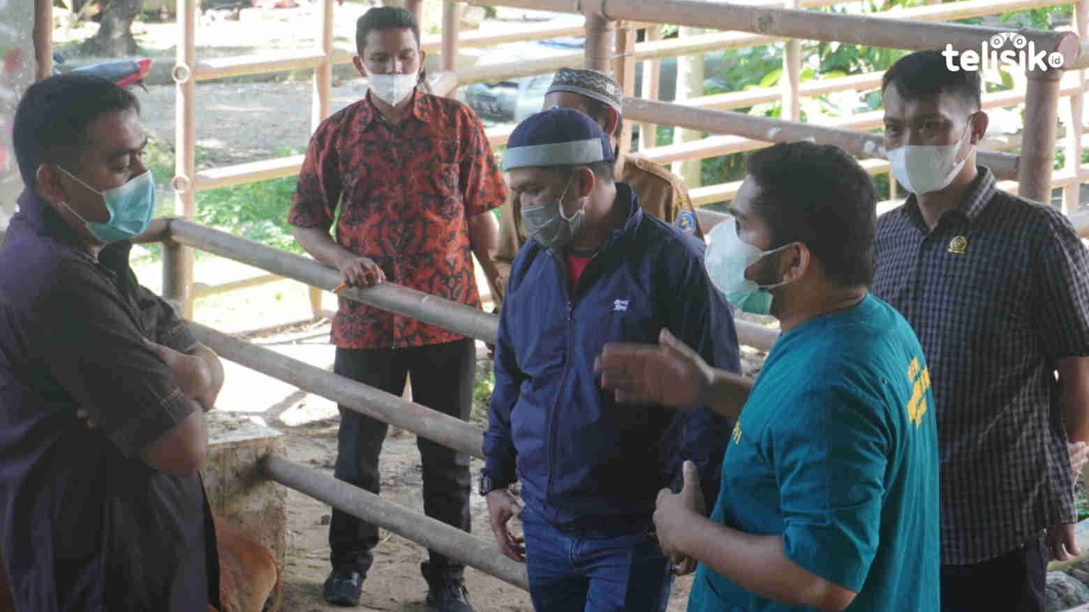 Stok Sapi di RPH Dipastikan Aman hingga Idul Fitri