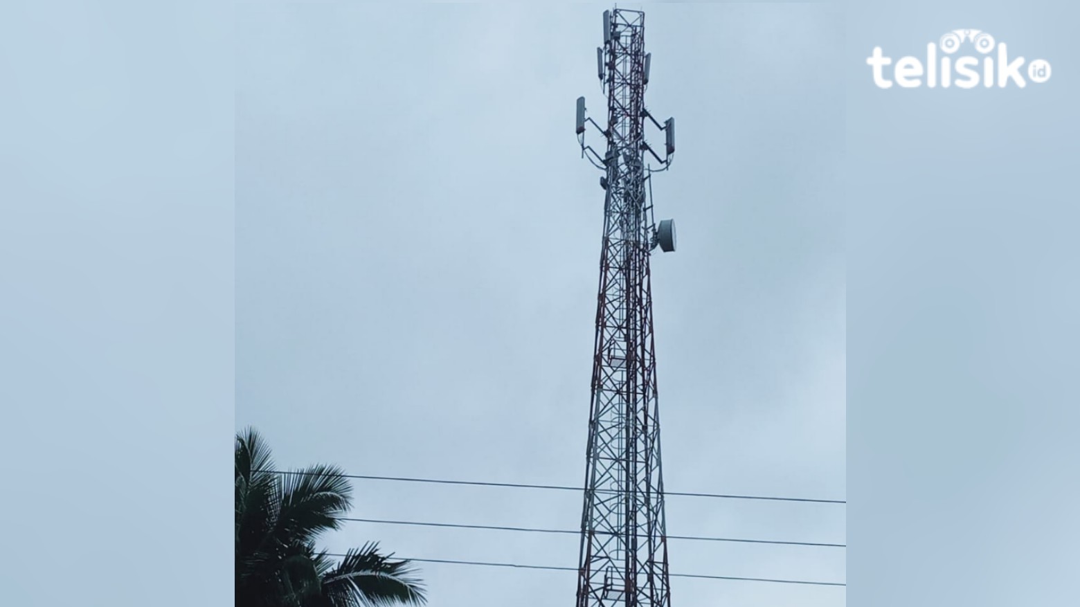 40 persen Wilayah di Mubar Tak Tersentuh Jaringan Internet