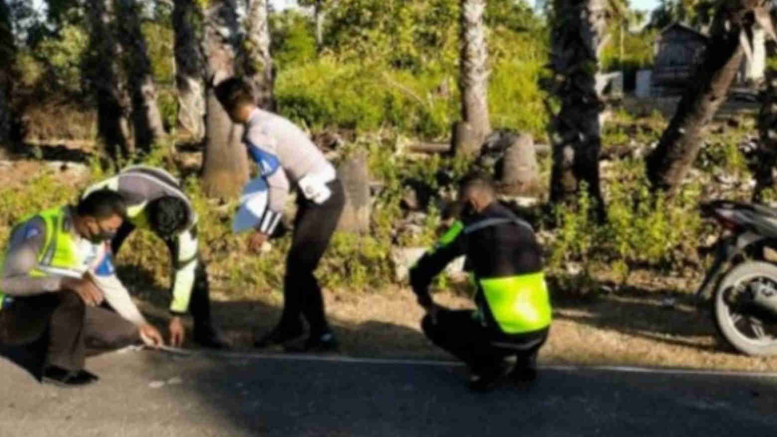 Diduga Mabuk, Pemotor di NTT Tewas Tabrak Pohon Lontar