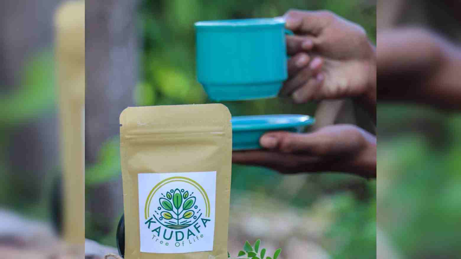 Kau Dafa, Teh Celup Daun Kelor Inovasi Pemuda Wakatobi