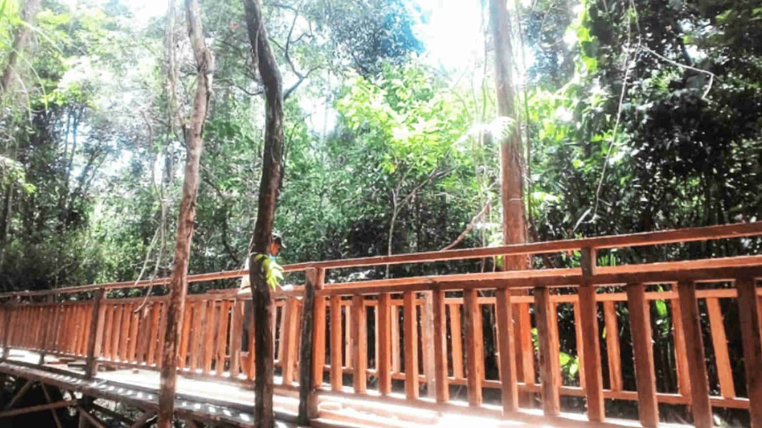 Kebun Raya UHO Dicanangkan Sebagai Tempat Wisata