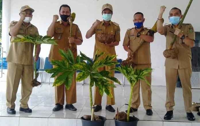 Konkep Pamer Komoditas Porang di Munas VIII Kadin