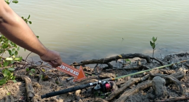 Lagi Memancing di Tambak, Warga Dimangsa Buaya