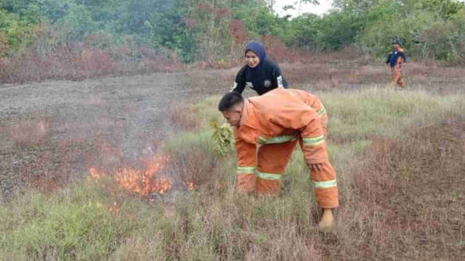 Lahan di Wakatobi Terbakar Misterius?