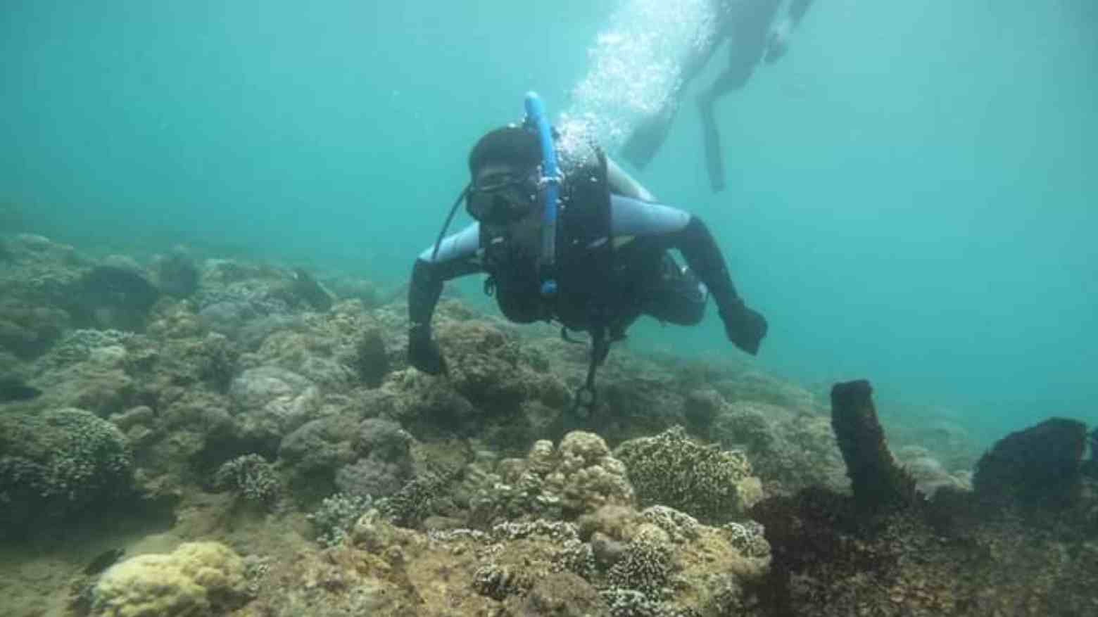 Parang Datu Beach, Spot Diving Terpendam di Ujung Tobaku
