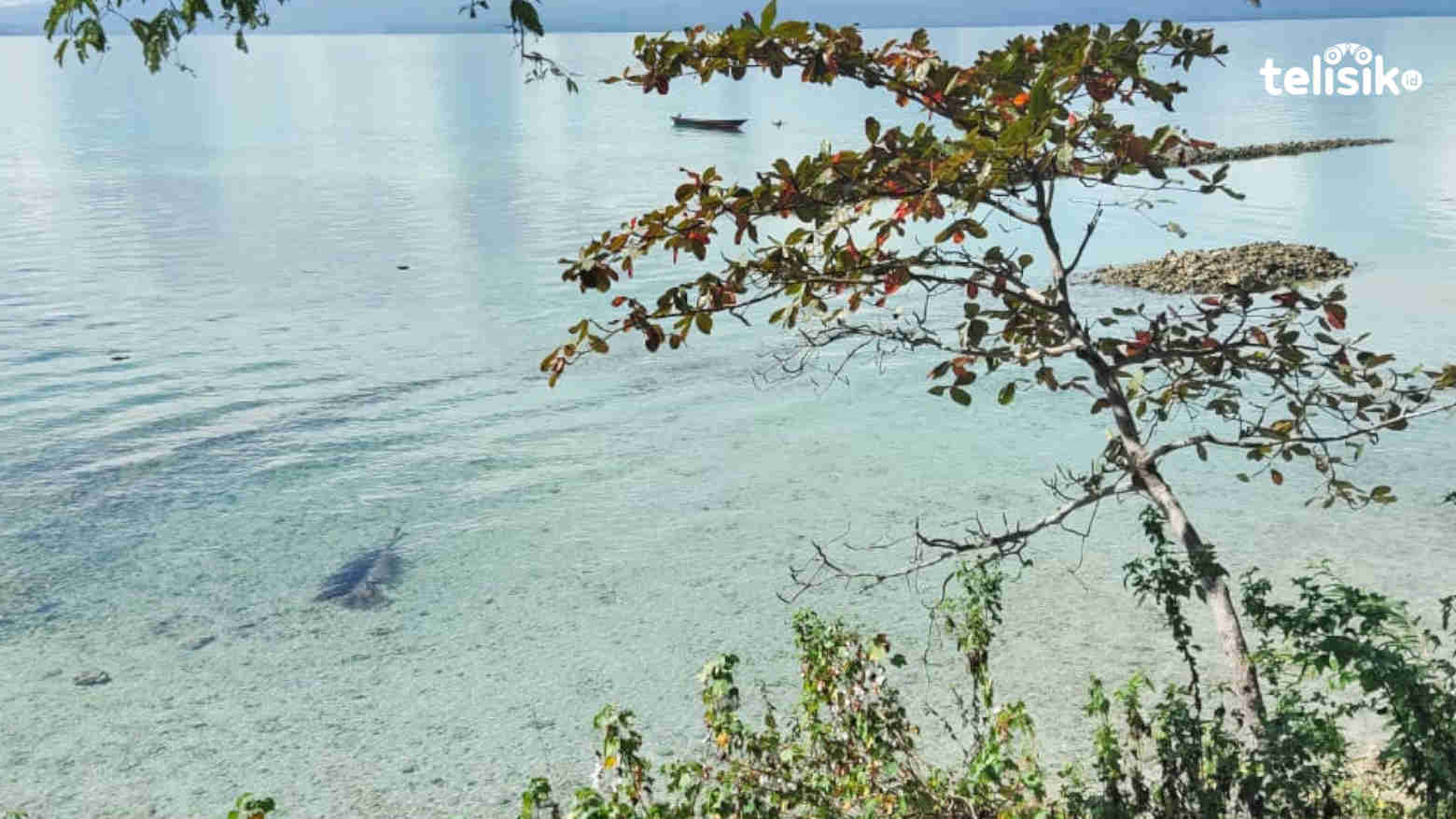 Pengeboman Ikan Marak di Perairan Muna-Buteng, Terasa hingga ke Rumah Warga