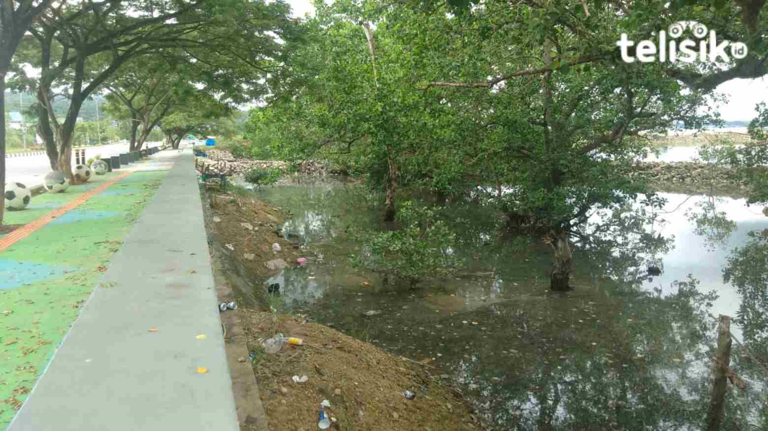 Sampah Ancam Keberadaan Tanaman Mangrove di Sepanjang Bypass Kendari