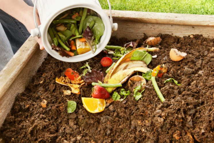 5 Langkah Buat Pupuk Kompos dari Sampah Organik