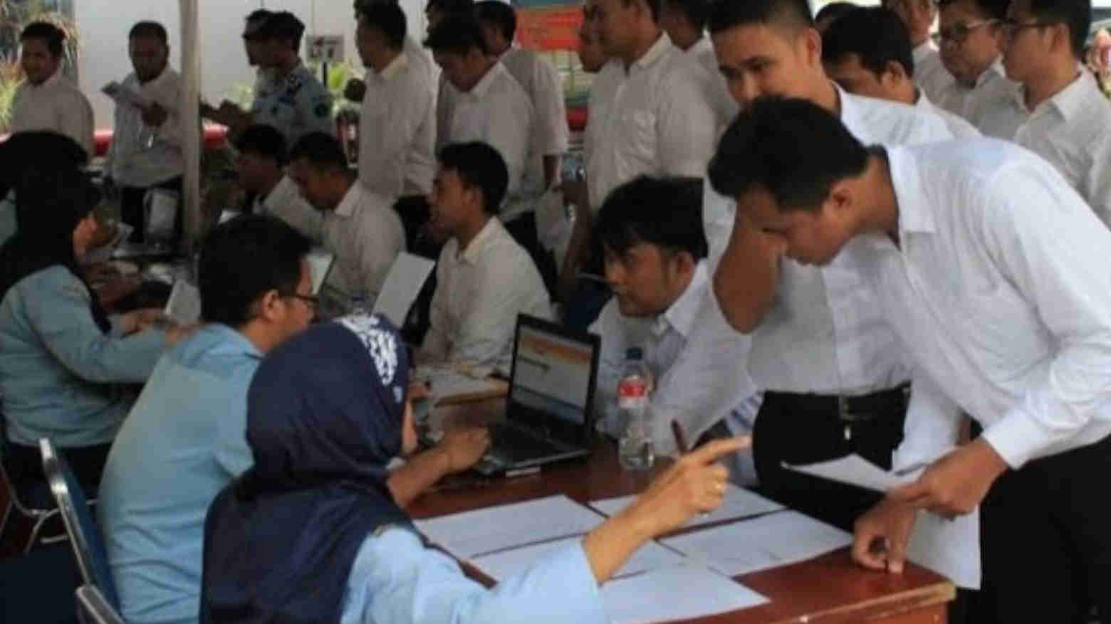 Berikut Syarat Pendaftar CPNS di Kolaka Timur