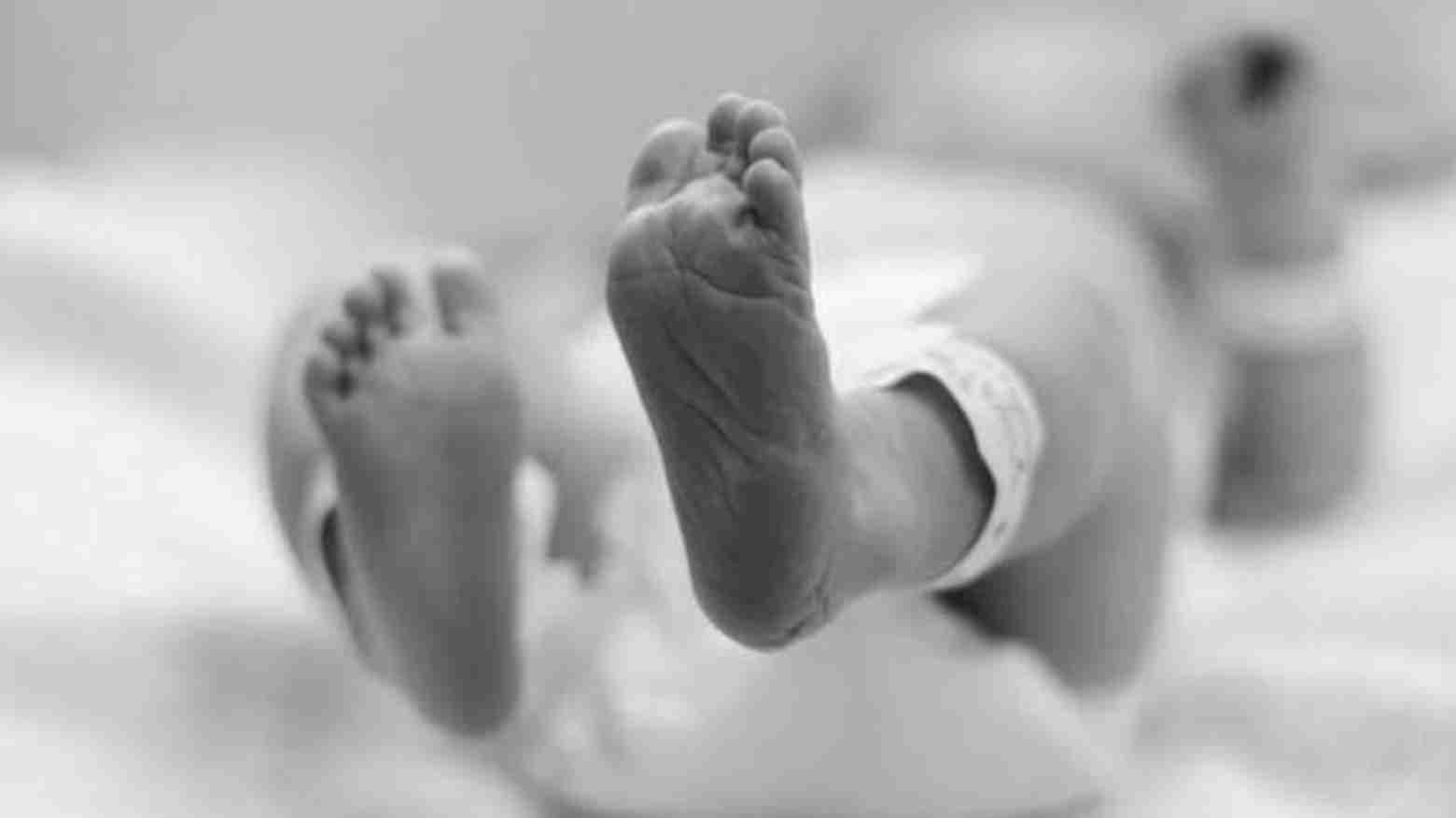 Dinsos Terima Pengadopsian Bayi yang Ditemukan di Baruga Keraton Baubau