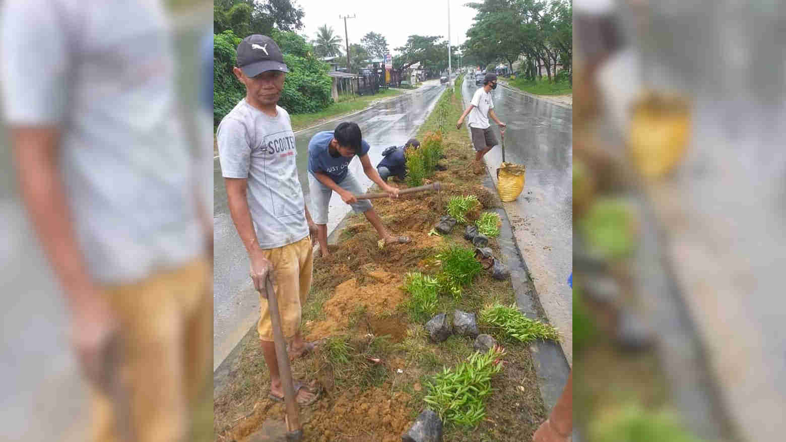 DLHK Kendari Maksimal Tata Kota
