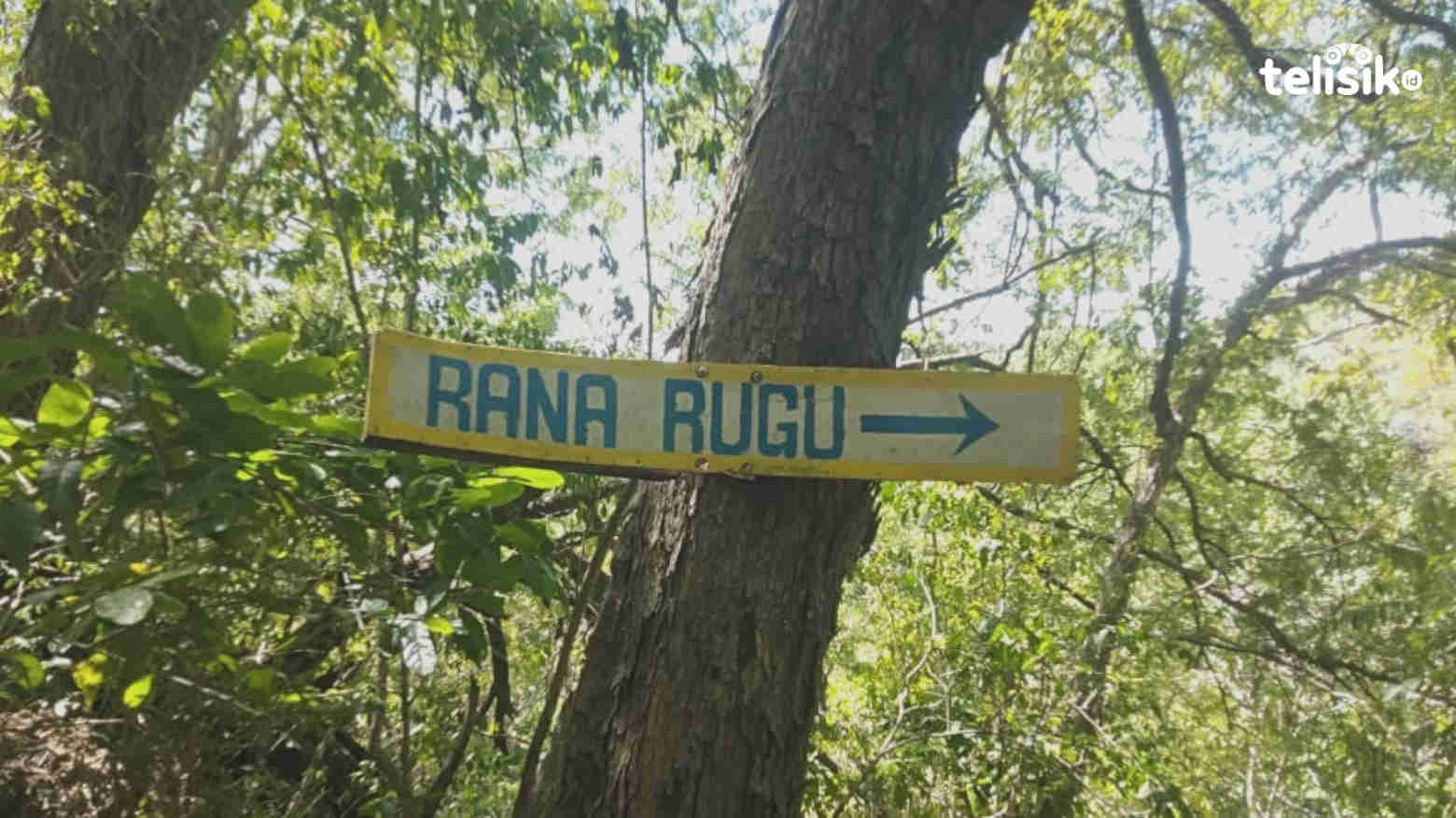 Komodo Ada di Rana Rugu Pota, Ini Sejarah Awalnya