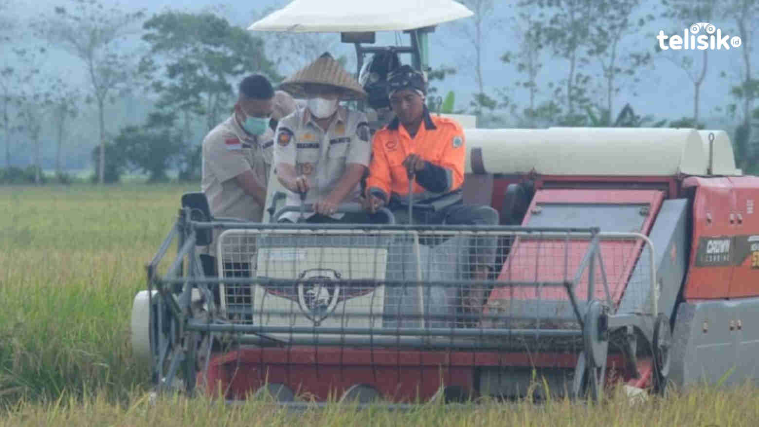 Pertahankan Kearifan Lokal, Pemkot Kendari Produksi Beras Owoha