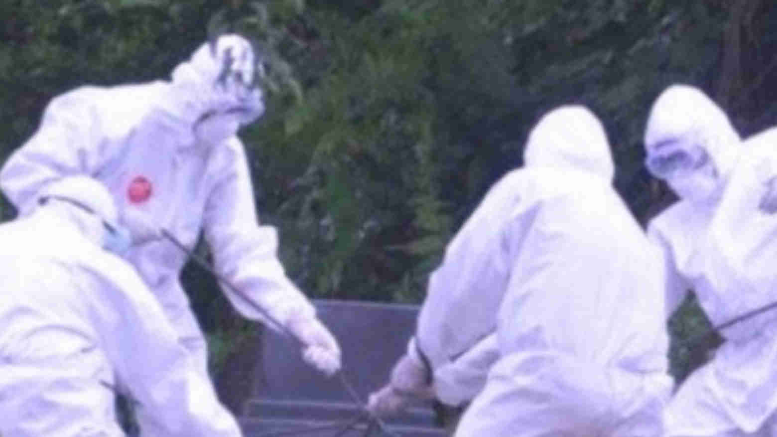 Satu Pasien Positif COVID-19 Asal Koltim Meninggal Dunia, Bupati dan ASN Tes Rapid