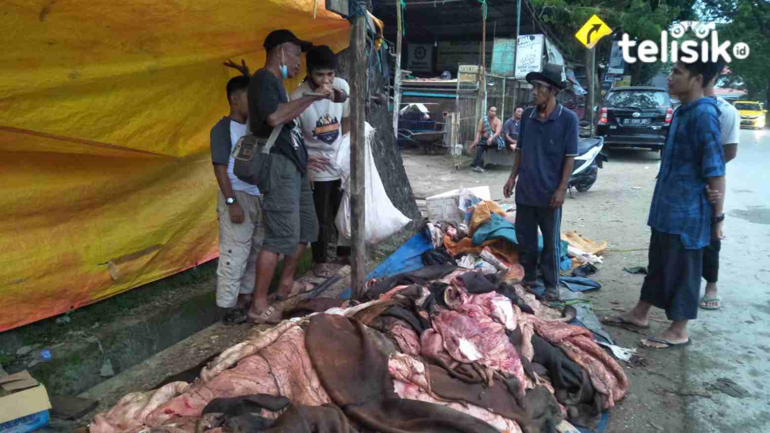 Selama Pandemi, Pembelian Kulit Sapi Kurban Menurun