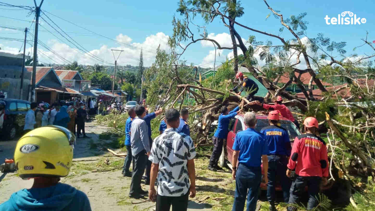 2 Unit Mobil Tertimpa Pohon Tumbang di Kota Baubau
