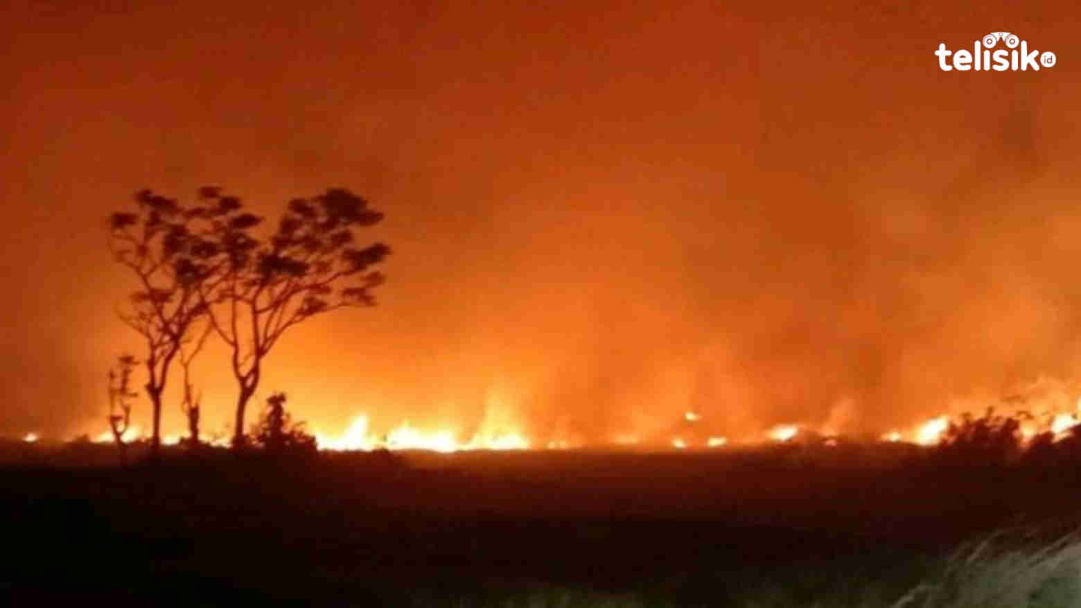 Area Wisata Puncak di Wakatobi Dilalap Si Jago Merah
