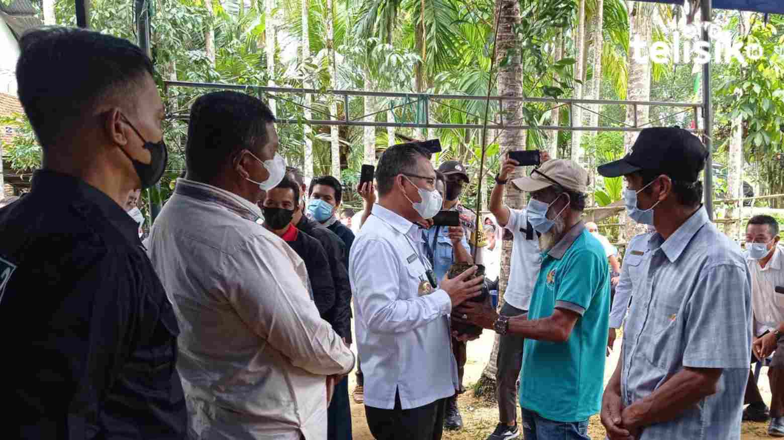 Wali Kota Kendari Serahkan 2.857 Bibit Cengkeh pada Petani di Watulondo