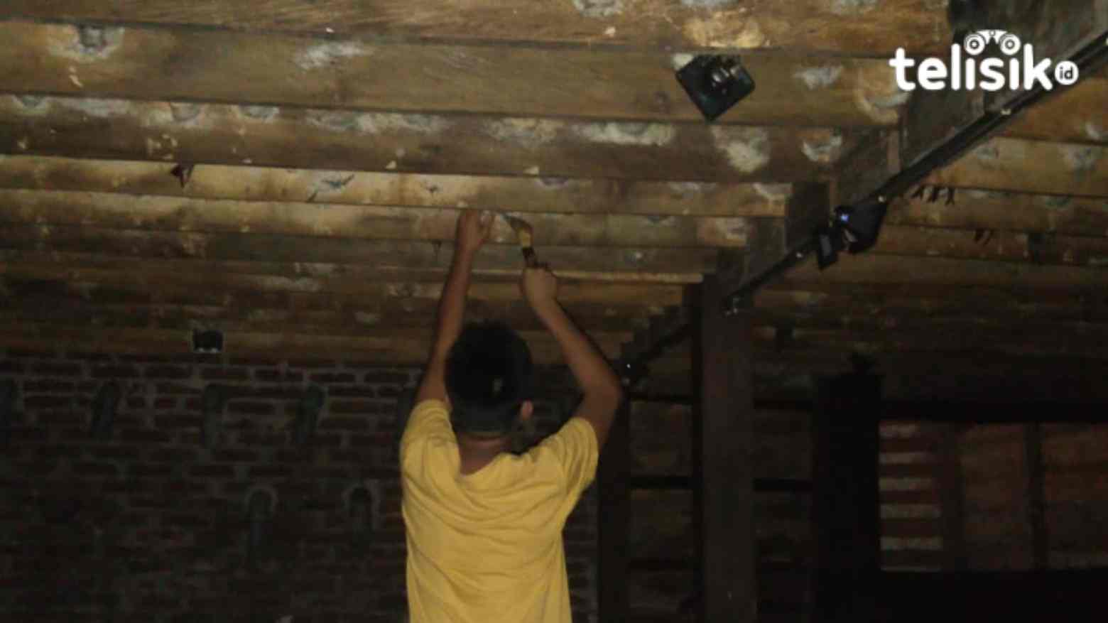 Teruskan Peninggalan Ayah, Remaja Ini Sukses Kembangkan Usaha Sarang Burung Walet