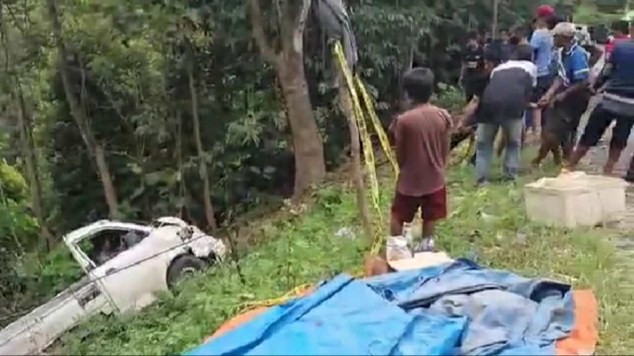 Tidak Kuat Menanjak, Mobil Bermuatan 2,5 Ton Buah Masuk Jurang