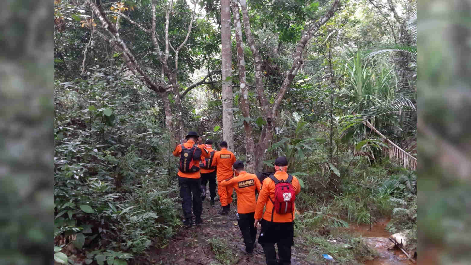 Wanita di Konawe Hilang Saat Mencari Kayu