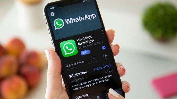 Cara Menonaktifkan Sementara WhatsApp Tanpa Uninstall