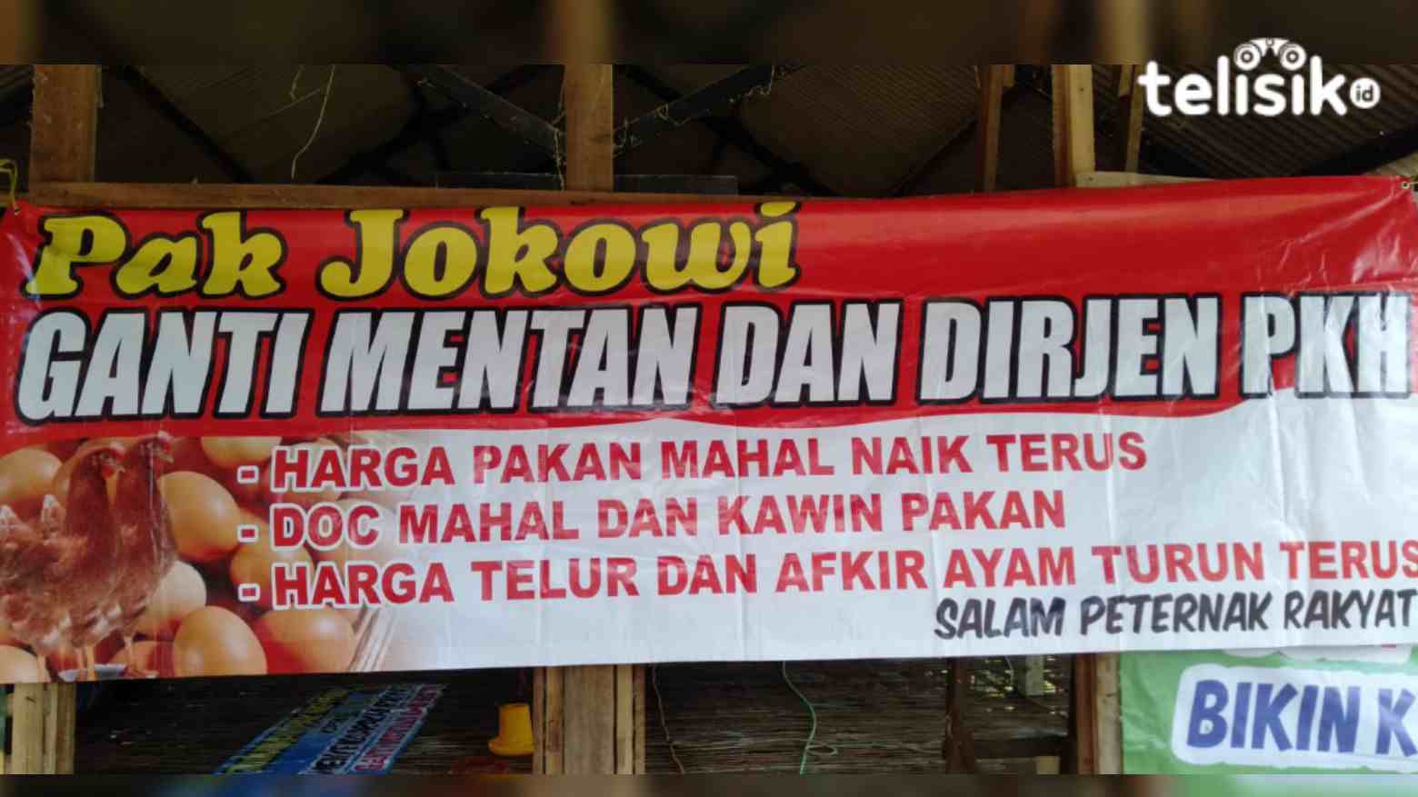 Harga Pakan Ternak Tinggi, Peternak Telur Ayam di Jatim Menjerit