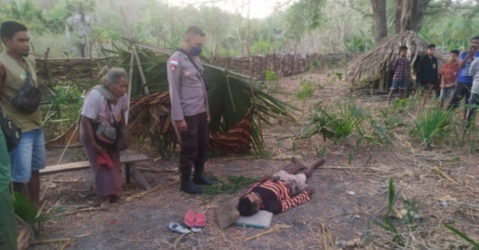 Jatuh dari Pohon Asam, Warga di Timor Tengah Selatan Ditemukan Tewas