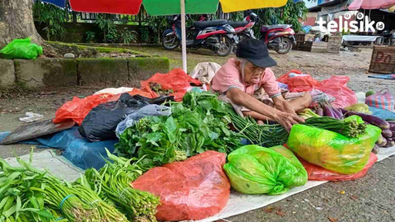 Tak Ingin Harap Iba, Nenek Ini Rela Jualan Sayur hingga Malam