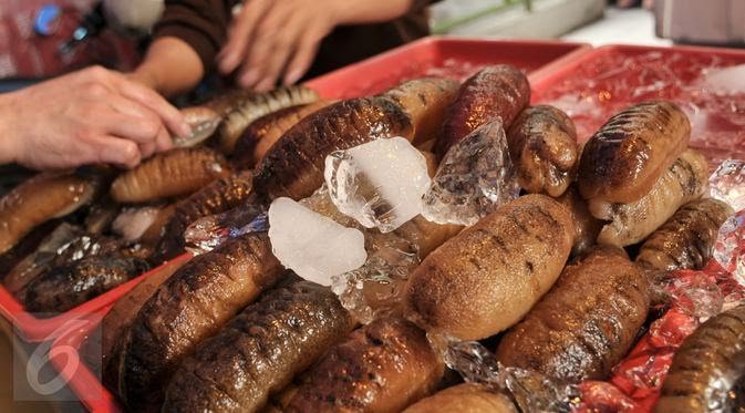 Teripang Emas yang Kaya Manfaat, Bisa Mencegah Kanker