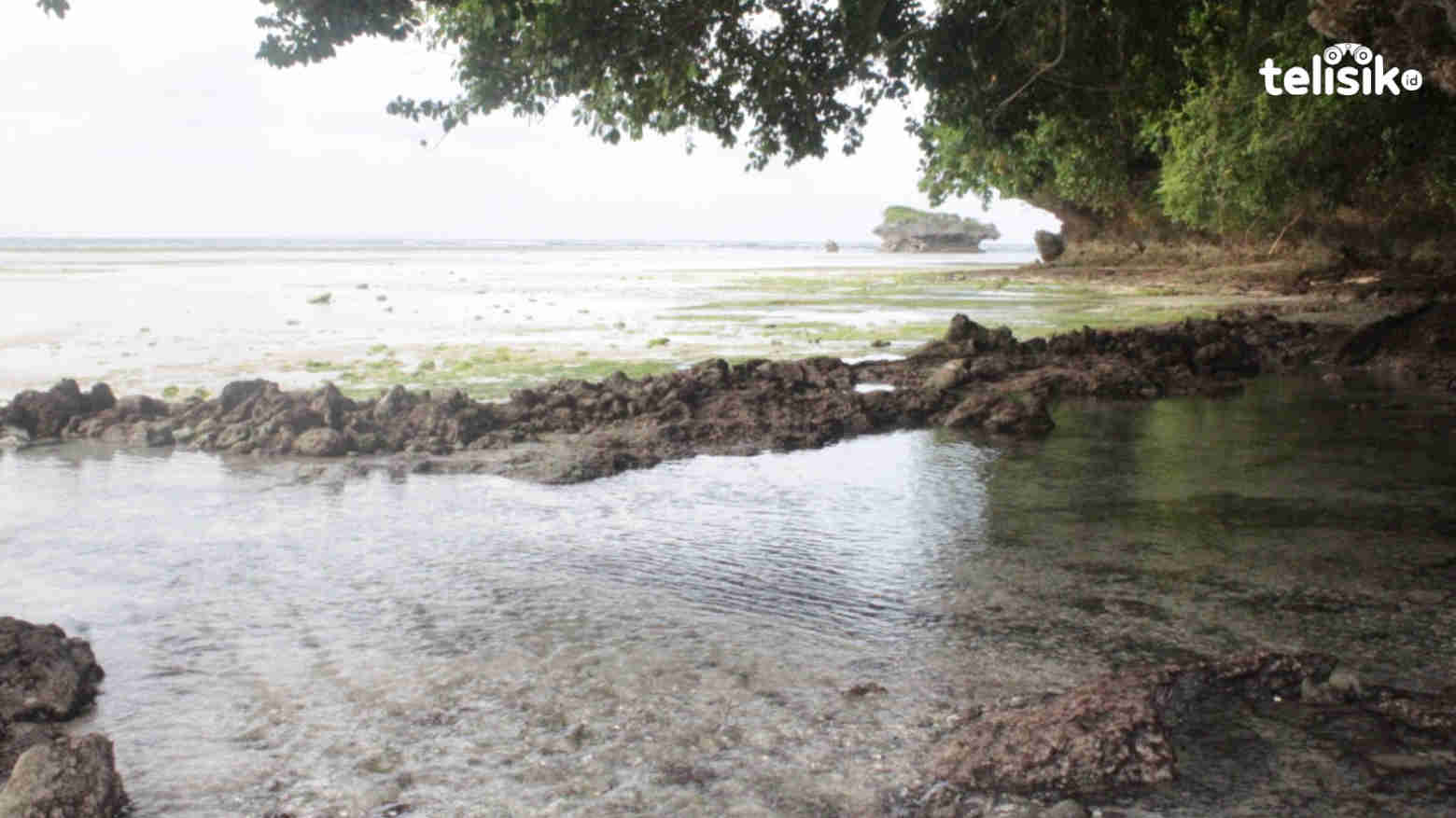 Yuk, Intip Keindahan dan Keajaiban Pantai Mata Air Seratus di Wakatobi