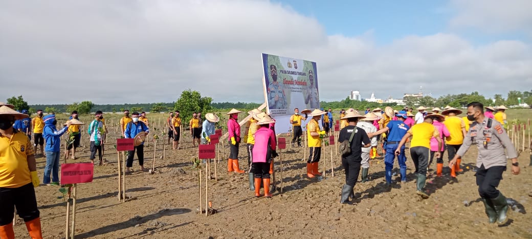 Cegah Abrasi Pantai, Polda Sultra Tanam 2.000 Pohon Bakau