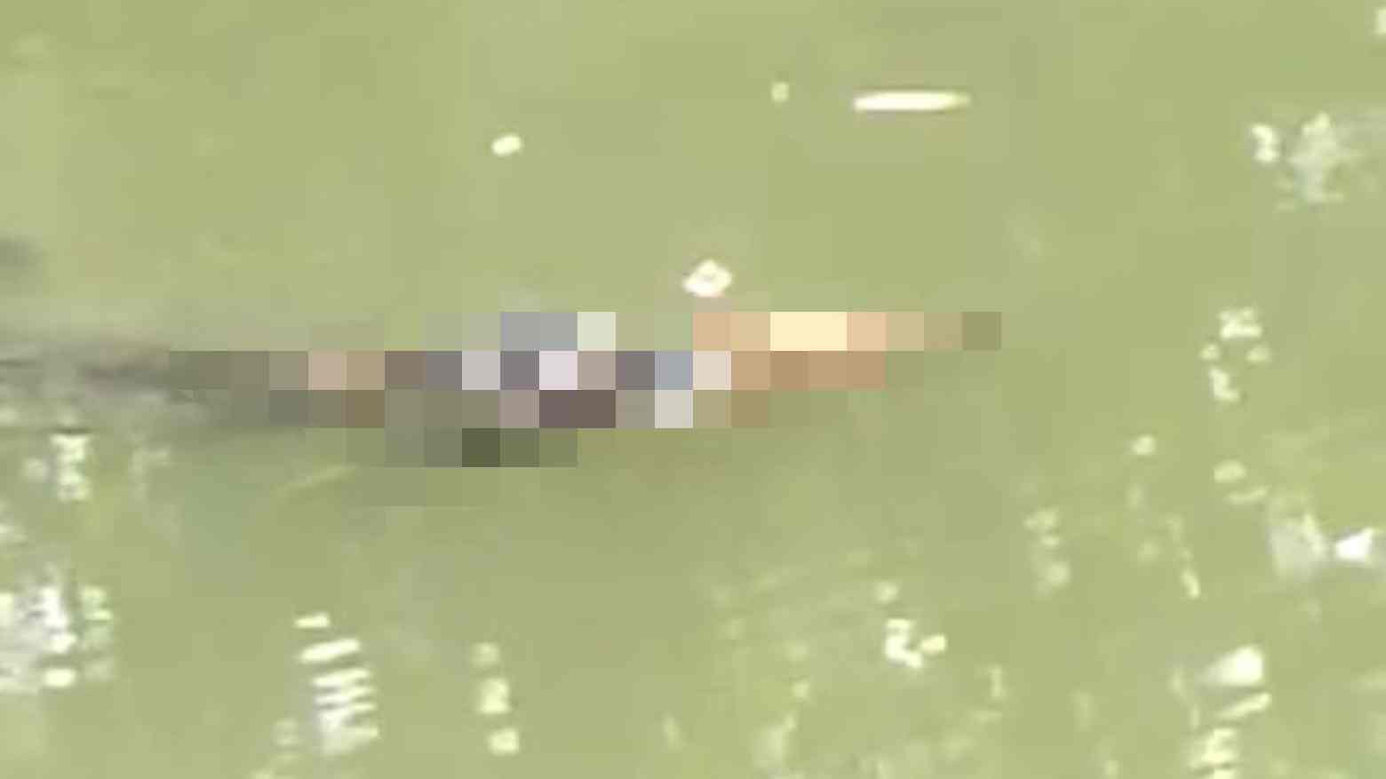 Siswa SMP Diterkam Buaya Saat Mandi di Sungai Malaoge Buton